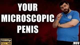 KingMarti: Your Microscopic Penis - Full HD 1080p - MOV