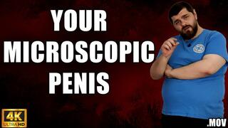 KingMarti: Your Microscopic Penis - 4k UHD 2160p - MOV