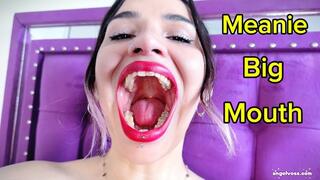 Meanie Big Mouth Spanish