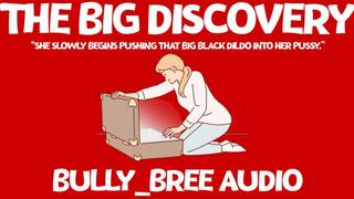 The Big Discovery Audio