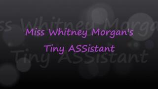 Miss Whitney Morgan’s Tiny ASSistant - mp4