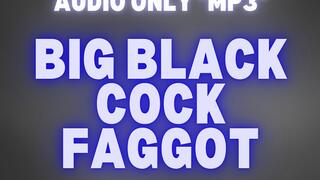 BIG BLACK COCK FAGGOT *MP3 AUDIO ONLY*