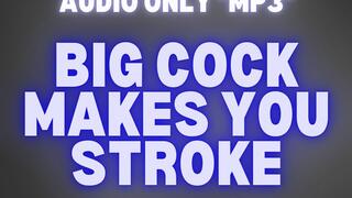 BIG COCK MAKES YOU STROKE *MP3 AUDIO ONLY*