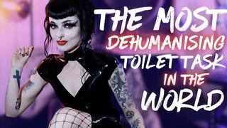 The Most Dehumanising Toilet Task In The World