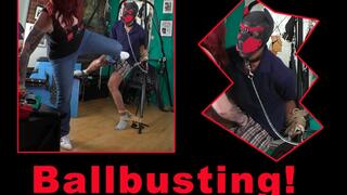 Ballbusting a Pussy Bitch 1280x720
