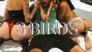 Three Birds Lovely Brazilian Babes and one Big Black Cock in dem holes