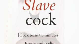 Slave Cock