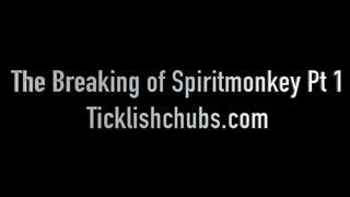 The Tickling Breaking of Spiritmkey (In Full)
