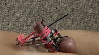 bondage and cbt with toys and fantasy