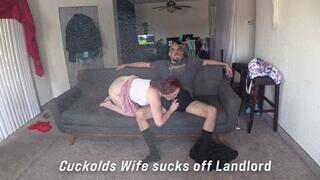 Husband watches wife suck off Landlord