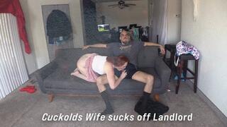 Husband watches wife suck off Landlord 3