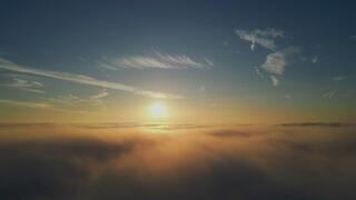 I Know Your Secret White Boy