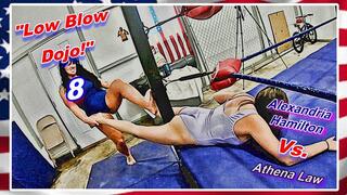 Low Blow Dojo! 8 WMV