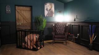 Lady Dark Angel - Pegged till his legs are shaking