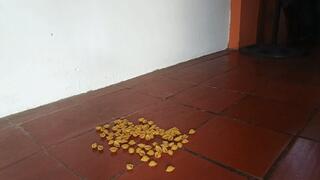 Crushing and crushing with my high heels (3)