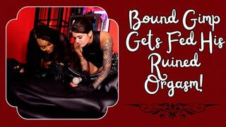 Bound Gimp Gets Fed His Ruined Orgasm! Ft Miss Roper And Madame V - HD MP4 1080p Format