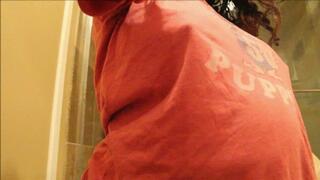 Pregnant with Twins Again Madeline Shower 21weeks