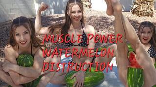 MUSCLE POWER: WATERMELON DESTRUCTION!