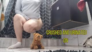 I crushed and peed on my teddy bear
