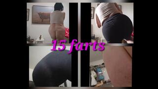 1:05 15 FARTS DONE RIGHT