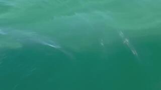 Sunny Foot Play and Tickling in Public on a Boat