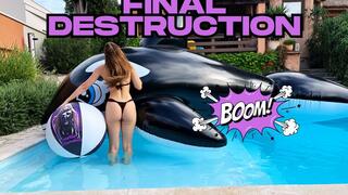 5 meter whale & anime ball destruction