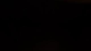 Callie has bought a mail order tiny