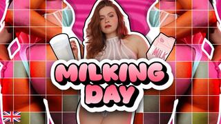 Milking Day