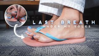Tiny Loser? Meet My Flip-Flop Prison - Giantess Enola - Crushing , toying him between my toes, stomp FullHD