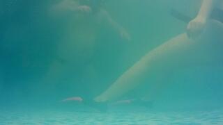 We are back! - part 2