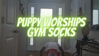 Puppy worships Gym Socks