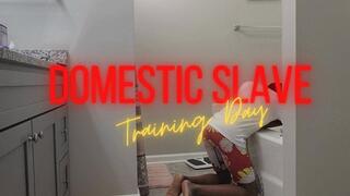Domestic Slave Training Day