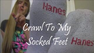 CRAWL TO MY SWEATY SOCKED FEET mp4