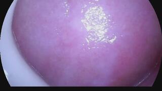 Dildo cam creamy pussy