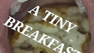 A Tiny Breakfast (SALE PRICE!)