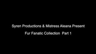 Fur Fanatic Collection 1