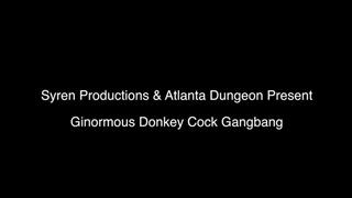 Gi-Normous Donkey Cock Gang Bang (1080p)