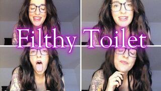 Filthy Toilet *wmv*