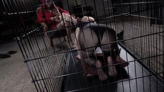 Spending Time With My Slave, 1st