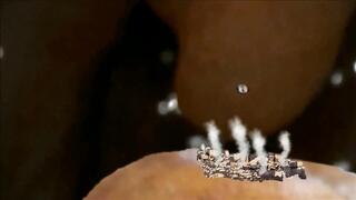 Adam devours the apple planet