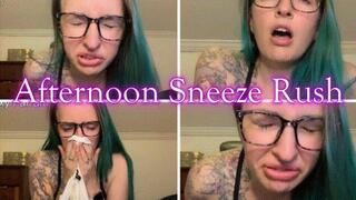 Afternoon Sneeze Rush *mp4*