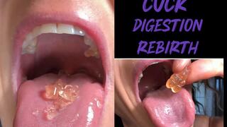 Devoured By Kandy:Cucks Digestion And Rebirth