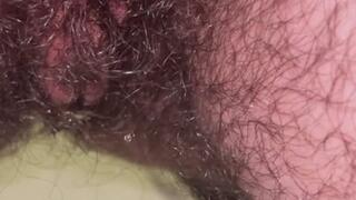Hairy Pissy Pubes Wank & Rub MOV Version