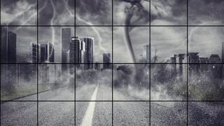 LP-276 You Got My Money Mofo-4K