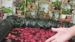 BTS Poison Ivy Videos from 2022