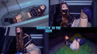 Damselin' in the rain - Rey - 4K MP4