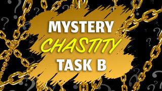 2025 Mystery Chastity Task B