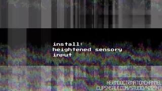 Install Heightened Sensory Input Audio MP3