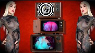 Denied Anal-goon Delirium : A 30-Day Lockdown , LOCKTOBER