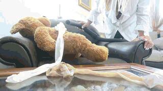 Total chaos in the house WMV (1920x1080) FHD